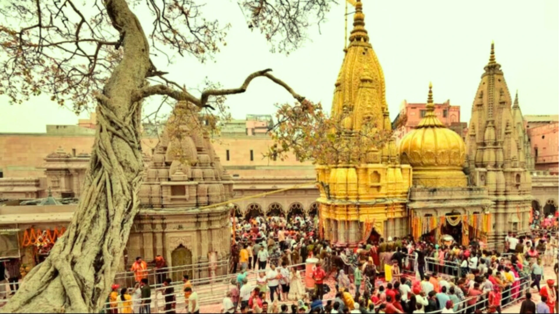 Kashi Vishwanath Temple: VIP को भी कराए जाएंगे व्हीलचेयर से बाबा के दर्शन, जाम और अव्यवस्था से मिलेगी राहत